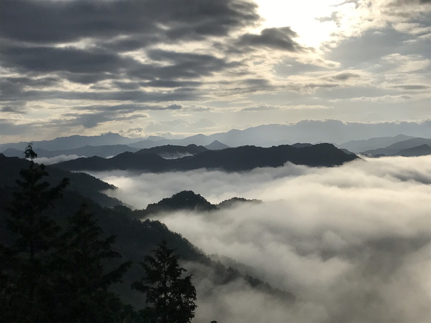 雲海スポット 関西 近畿で穴場の奈良県吉野郡 野迫川村 伯母子岳の写真40枚目 Yamap ヤマップ