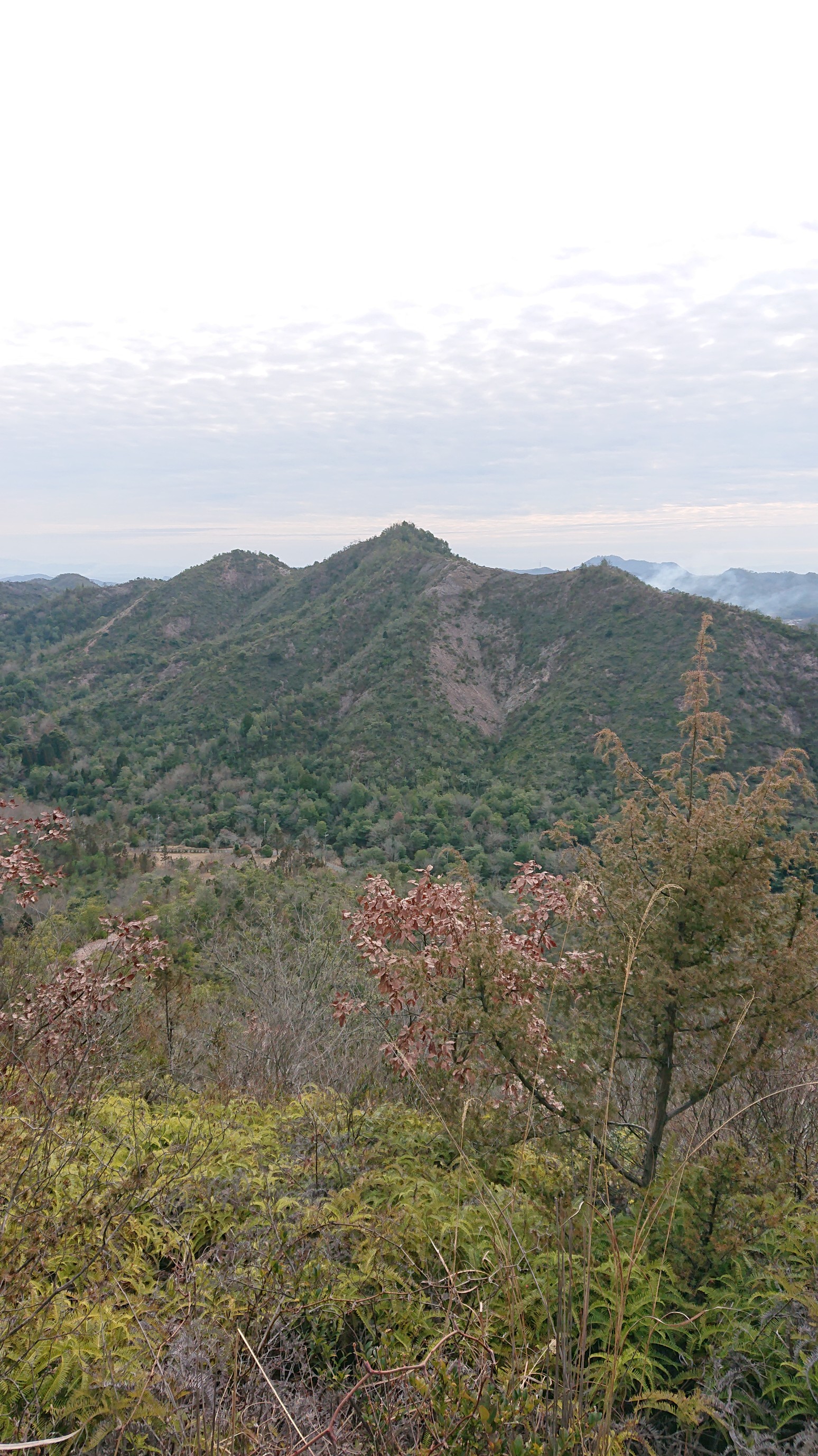 加西アルプス 笠松山 兵庫県 善防山 01 26 Ama Trekさんの加西アルプス 笠松山 善防山の活動データ Yamap ヤマップ