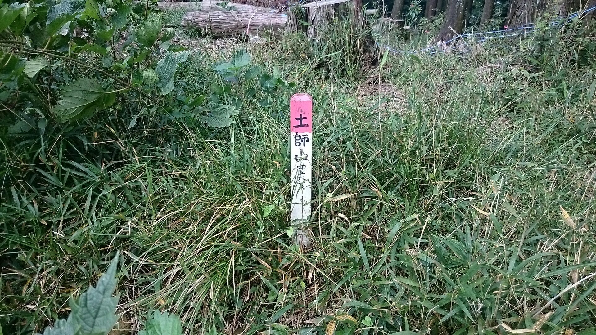 東峰村 土師山 仕事 けんごさんの日田市の活動データ Yamap ヤマップ