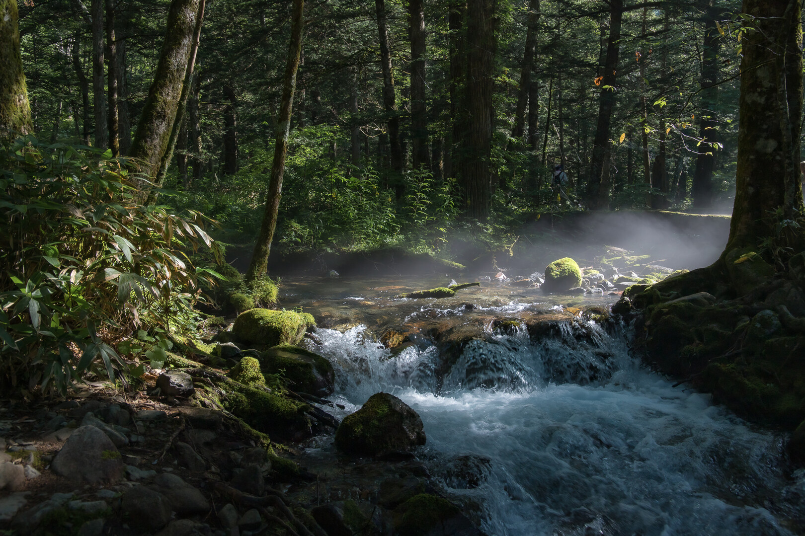国立・国定公園フォトコンテスト 2019 YAMAP / ヤマップ