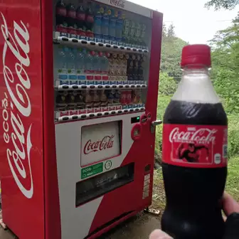 キャンプ場の自販機でコーラ飲んでやる気だけは出ます💨