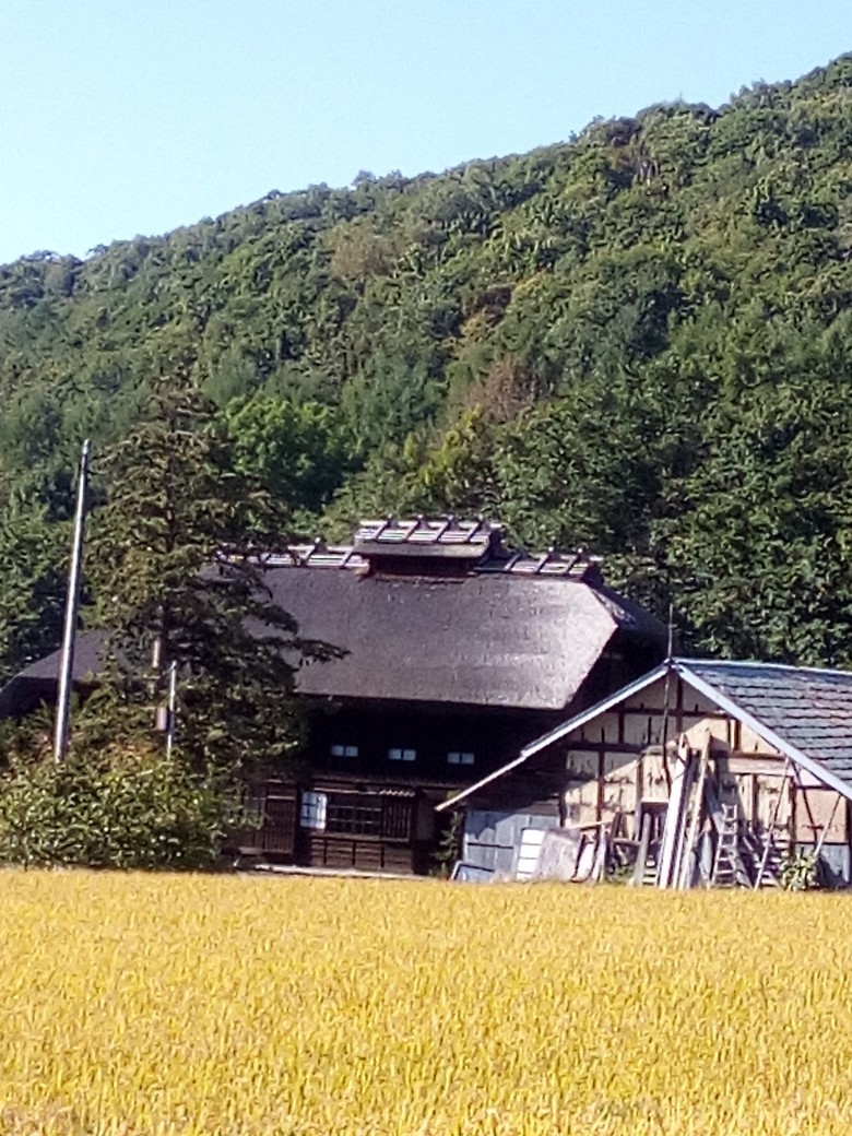 旭川21世紀の森 中鶴根山 秋の山キャンプは寒い はりゅさんさんの旭川市の活動データ Yamap ヤマップ