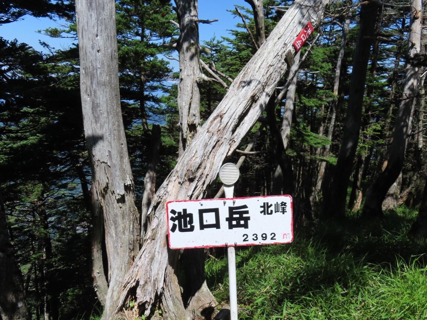 南アルプス最南の池口岳へ⛰️油断したら大転倒🥲 / ほりたっちさんの池口岳・加加森山・光岳の活動データ YAMAP / ヤマップ
