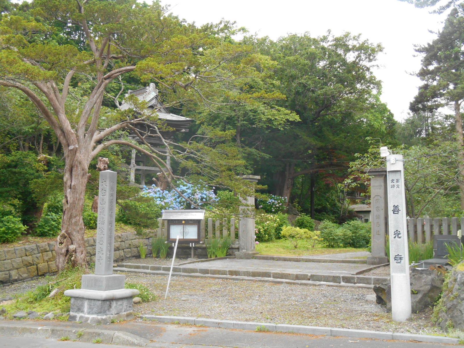 ２０２０ ０７ 有珠善光寺 裏山トレッキング Tomさんの有珠山の活動データ Yamap ヤマップ