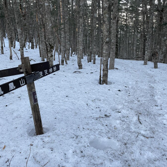 鳳凰山・地蔵岳・観音岳・薬師岳 苺平は踏み跡外すと時間によってはズボるかも…