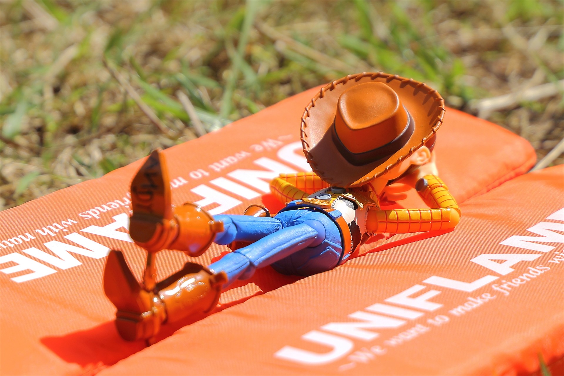 ウッディ うらほーまんへ まさやんさんの宝満山 三郡山 若杉山の活動データ Yamap ヤマップ