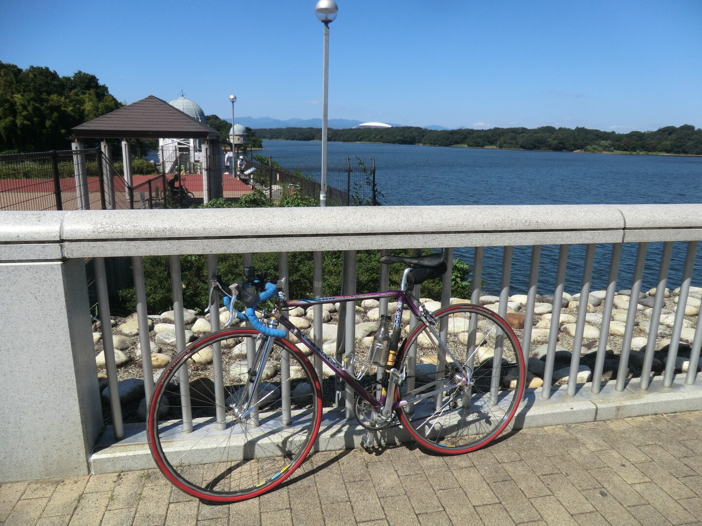 256号線 立川 自転車