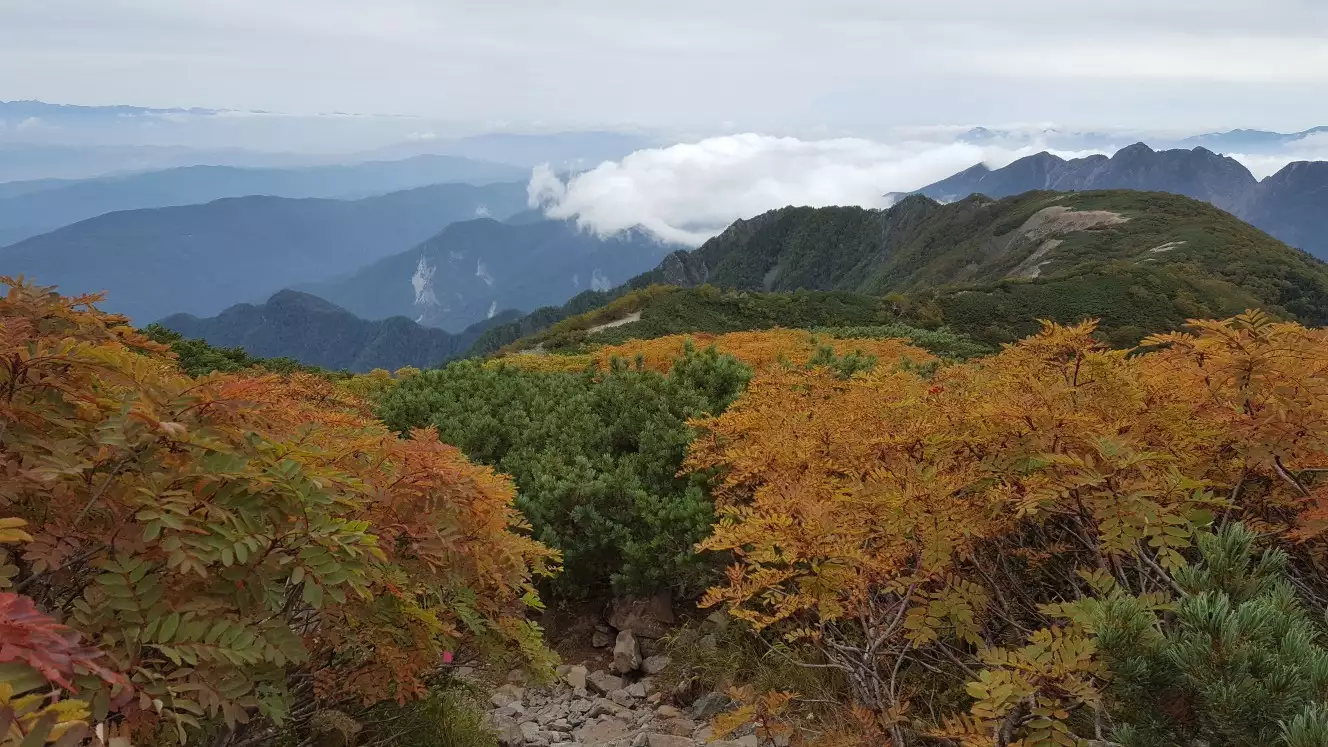 仙丈ヶ岳ピストン 紅葉は始まってます くにさんさんの仙丈ヶ岳 伊那荒倉岳の活動データ Yamap ヤマップ