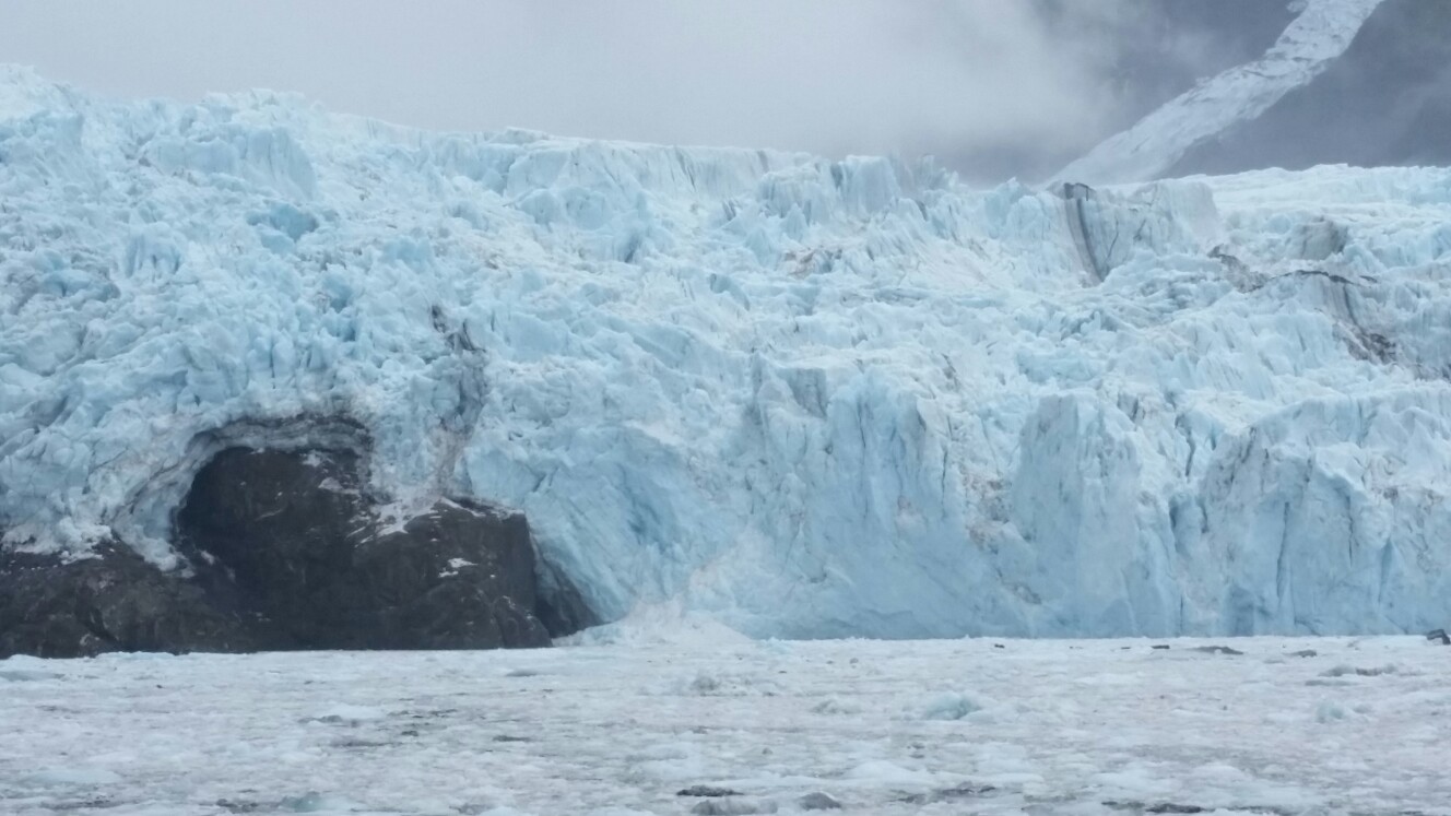アラスカハイキング旅行 たこ姫さんの東京都23区 北エリアの活動日記 Yamap ヤマップ