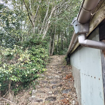 熊野古道 小辺路 ここから本格的に登ります！