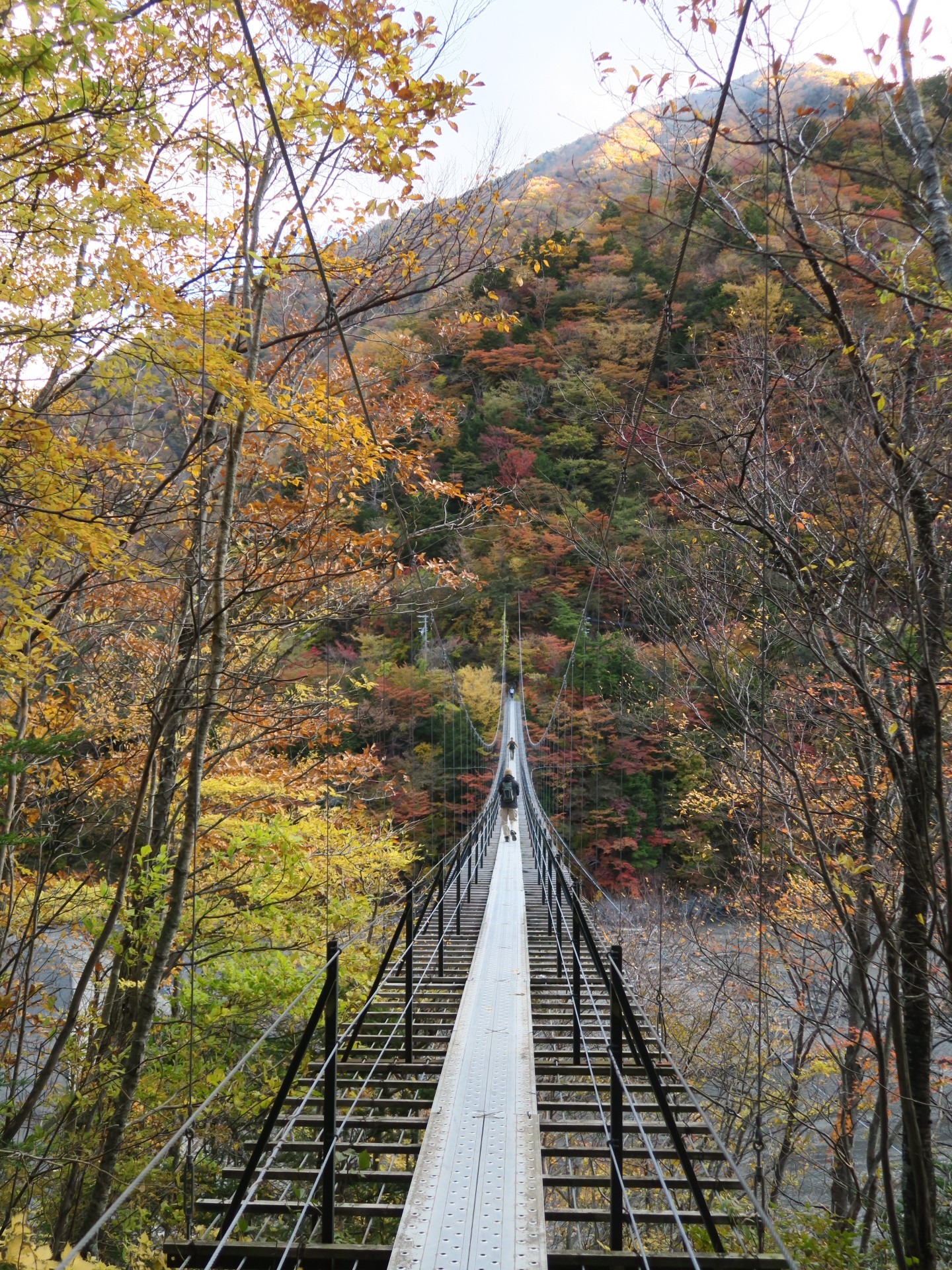 畑薙大吊橋 あっちの世界に行けそうな ともさんの聖岳 大沢岳 光岳の活動データ Yamap ヤマップ