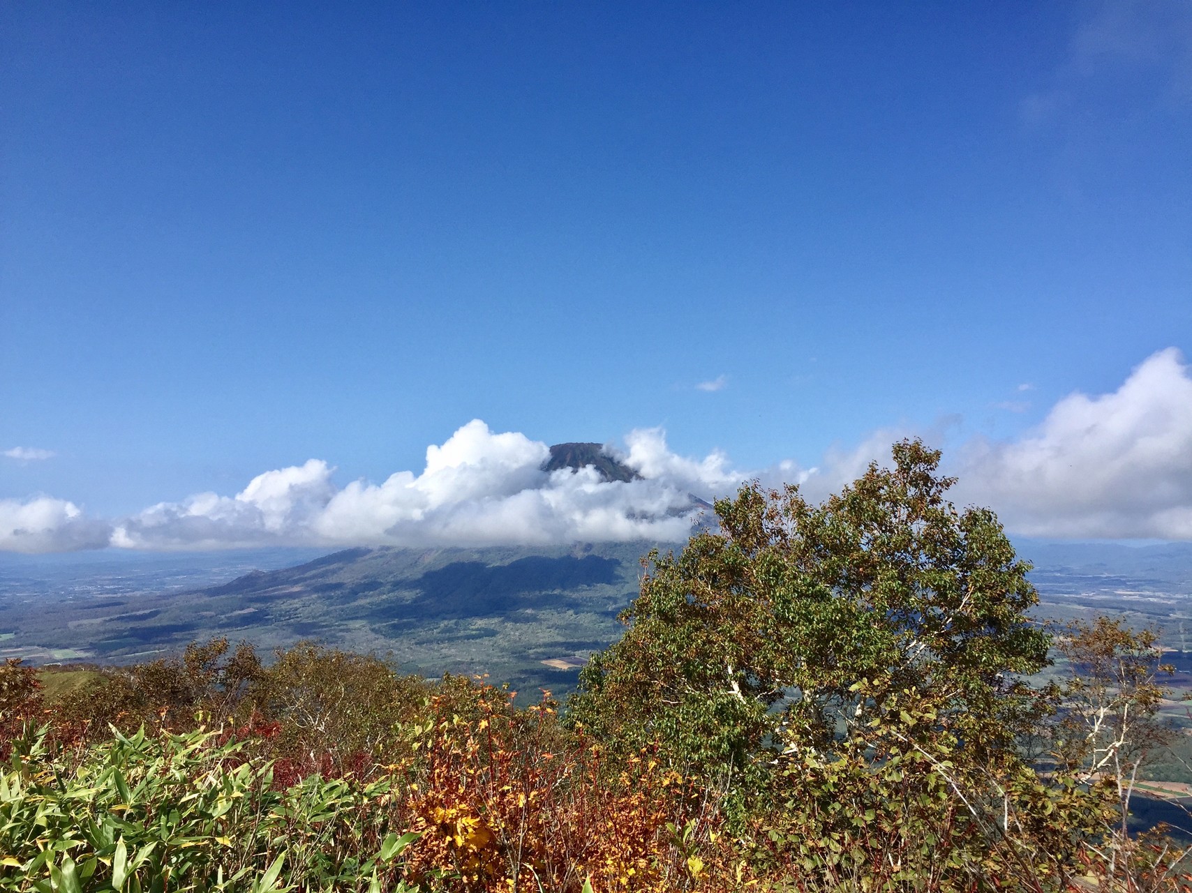 紅葉の羊蹄をみたかった尻別岳 Lilyさんの羊蹄山 蝦夷富士 の活動データ Yamap ヤマップ