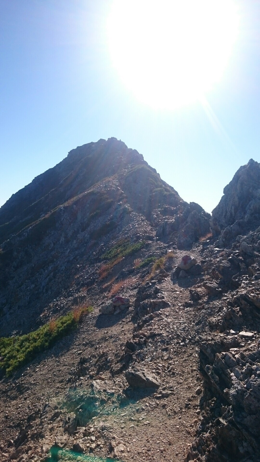 唐松岳 五竜岳 1泊2日テント泊 唐松岳 五竜岳 遠見尾根 アルプス平 Trgさんの鹿島槍ヶ岳 五竜岳 五龍岳 唐松岳の活動日記 Yamap ヤマップ