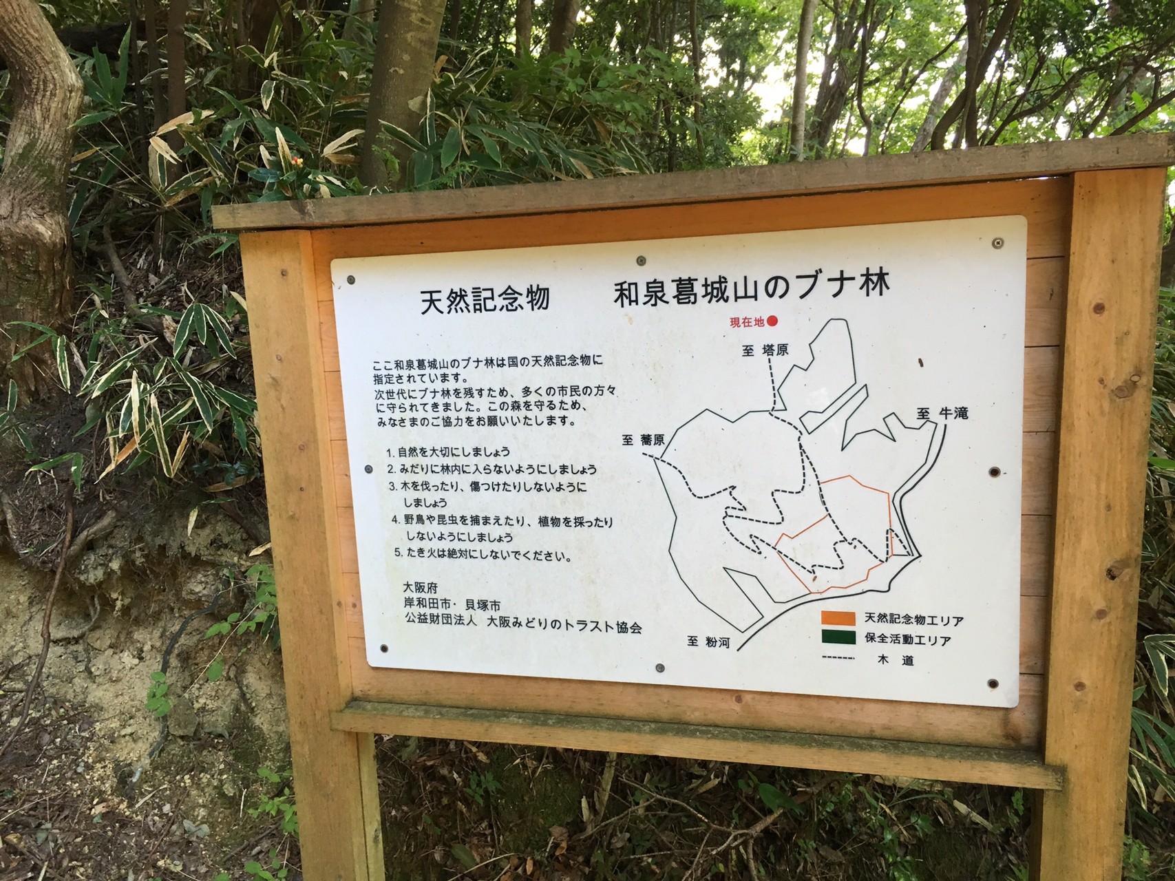 4つ目の葛城山 和泉葛城山 いかポンさんの槇尾山 槙尾山 和泉葛城山 神於山の活動日記 Yamap ヤマップ