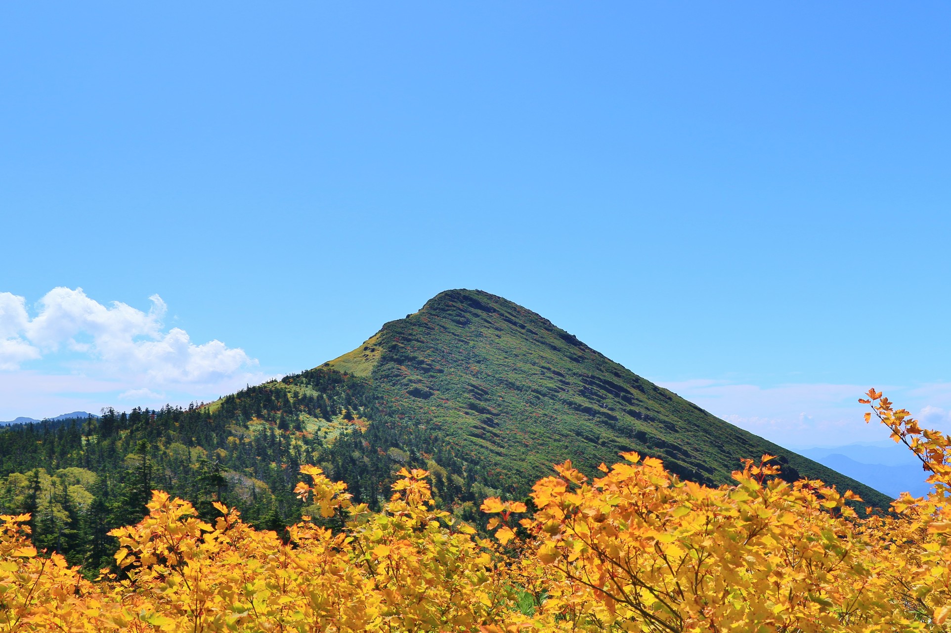 尾瀬 笠ヶ岳 群馬百名山 隠れた名峰 としぞうさんの至仏山 悪沢岳 笠ヶ岳の活動データ Yamap ヤマップ