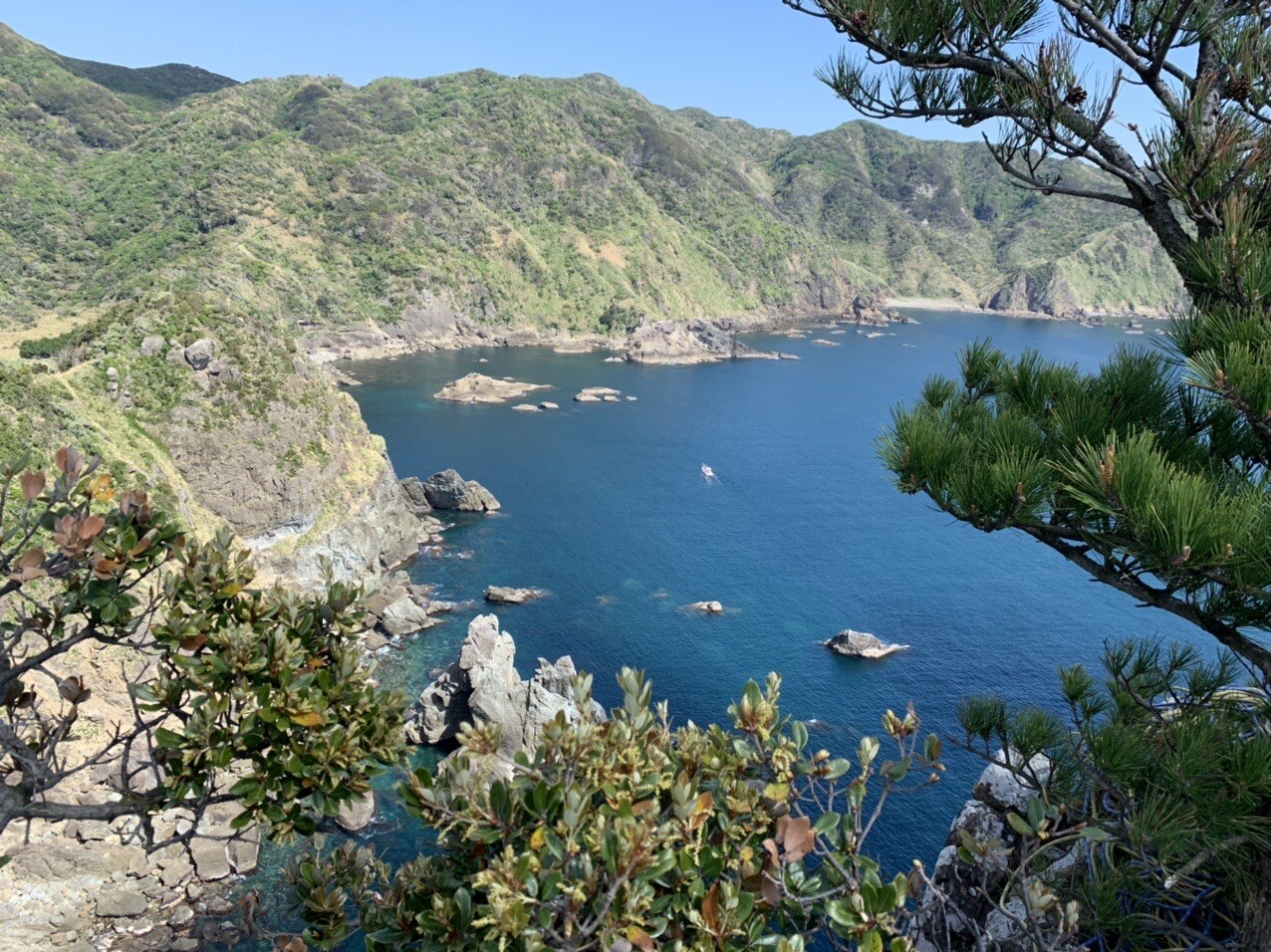 吉田海岸 魔王 南伊豆町の写真34枚目 わぁーーいい景色 マルチピッチ ってこれ Yamap ヤマップ
