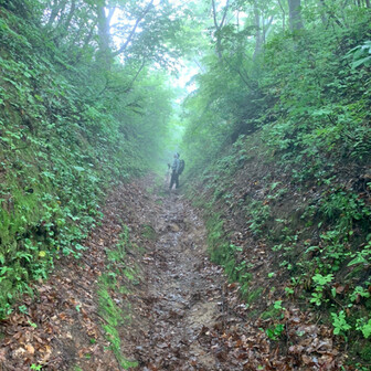 山登りこうちゃん。🗻6年生🗻