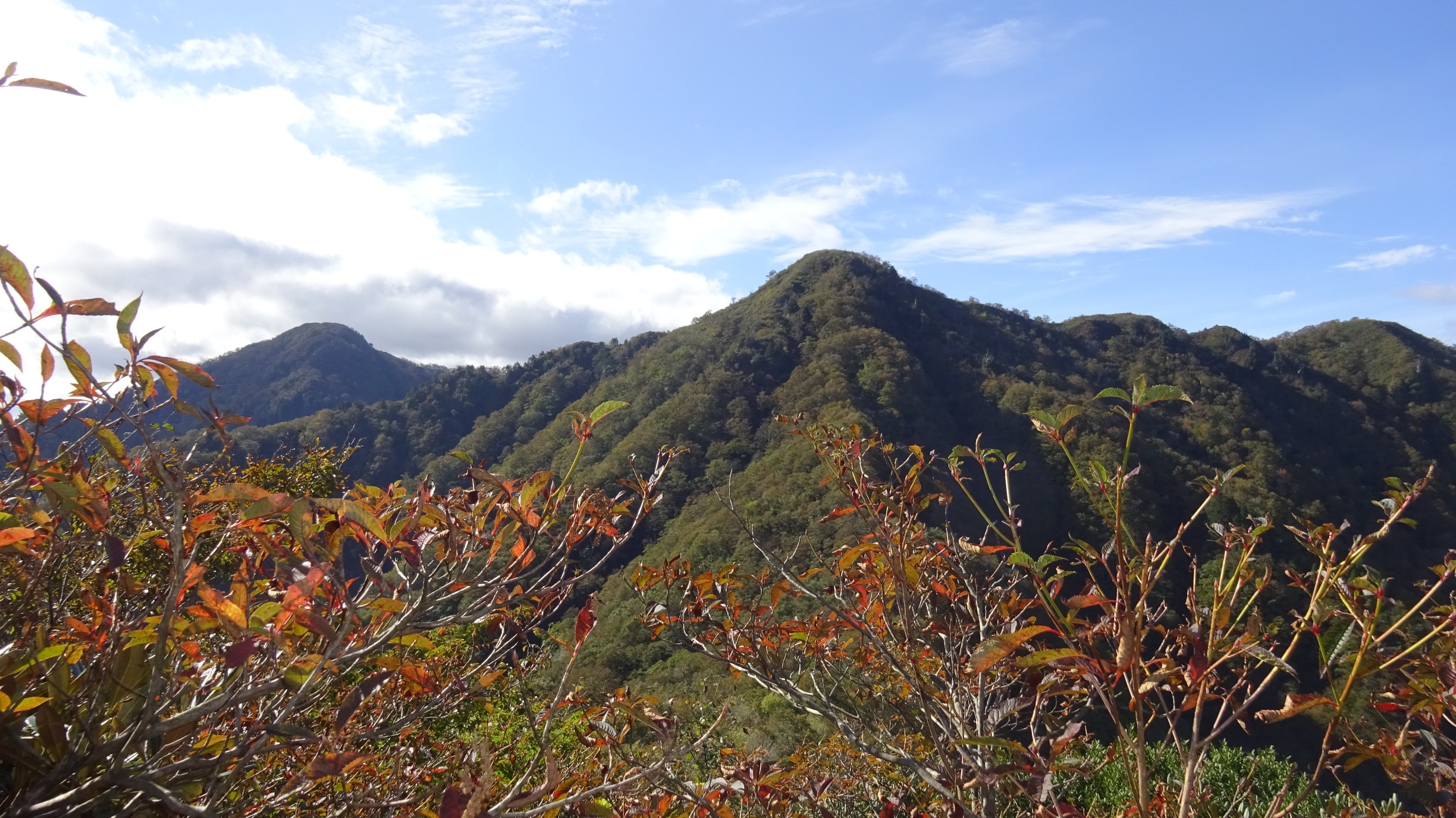 五蛇池山の最新登山情報 / 人気の登山ルート、写真、天気など | YAMAP / ヤマップ