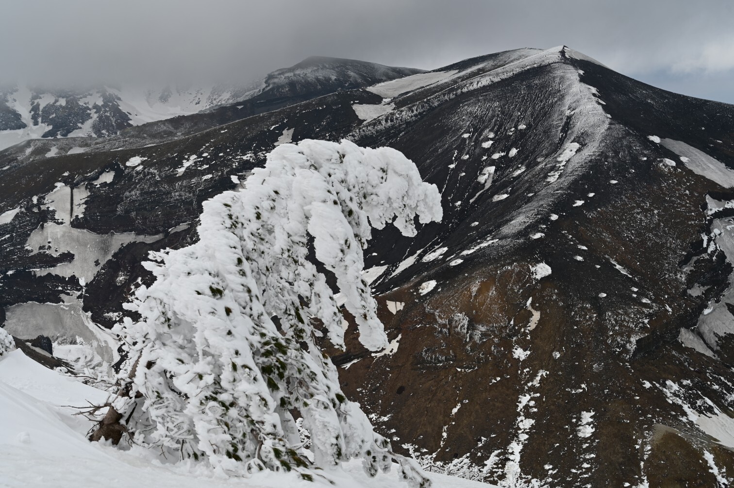 蔵王さま チビっこモンスターがお出迎え ヌーヤンさんの蔵王山 雁戸山 不忘山の活動日記 Yamap ヤマップ