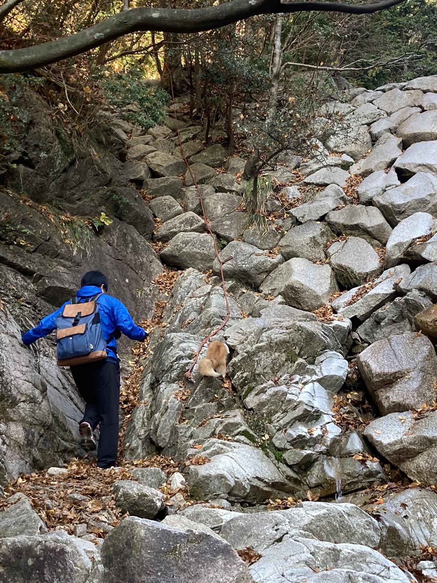 釈迦ヶ岳 まめたくんも負けじと！
ルートファインディングが上手❗️