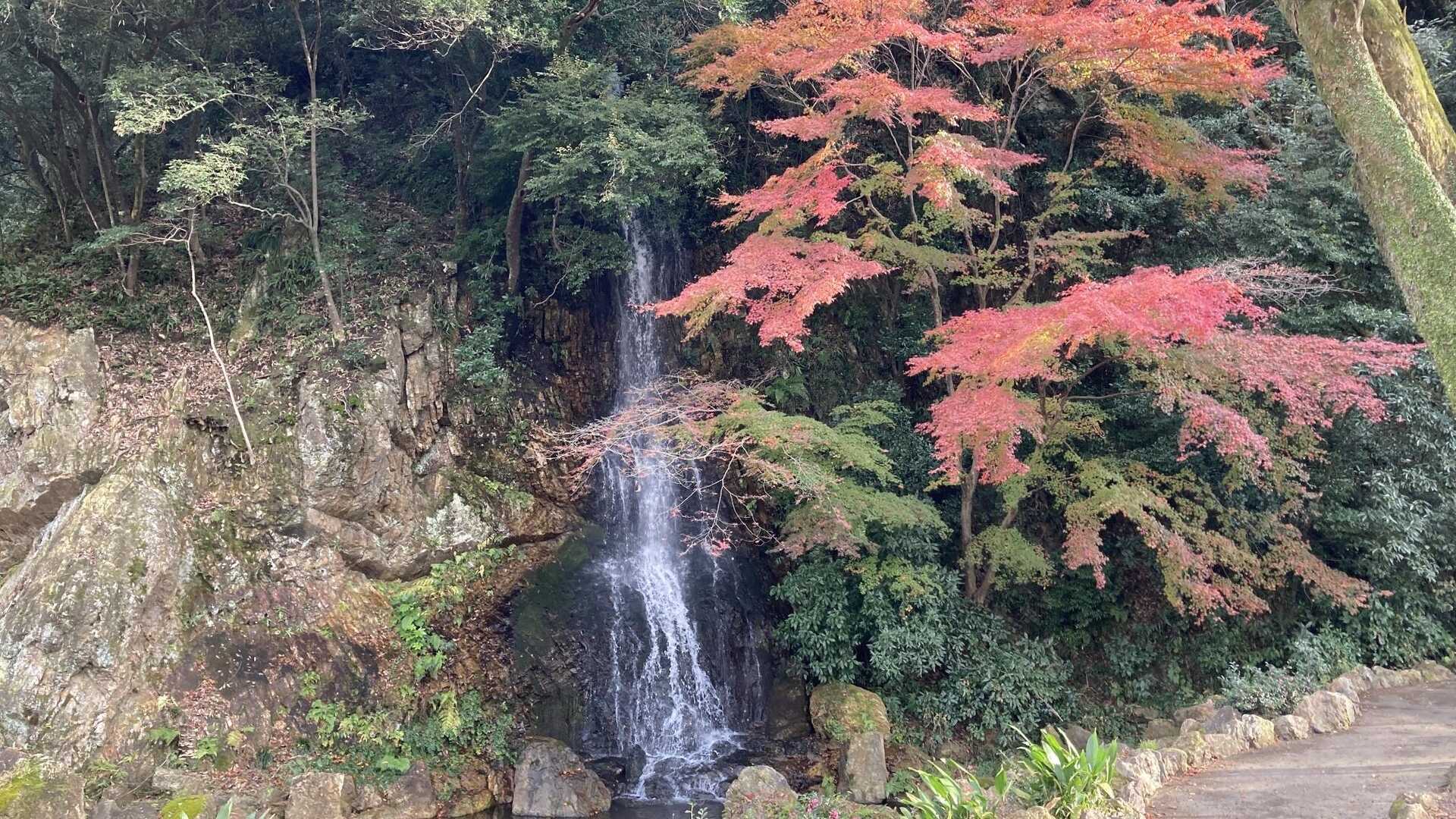 金華山・岩戸山・鷹巣山・洞山・野一色権現山・西山 / ギフST787 金華山・岩戸山・鷹巣山・洞山・野一色権現山・西山 / ギフST787