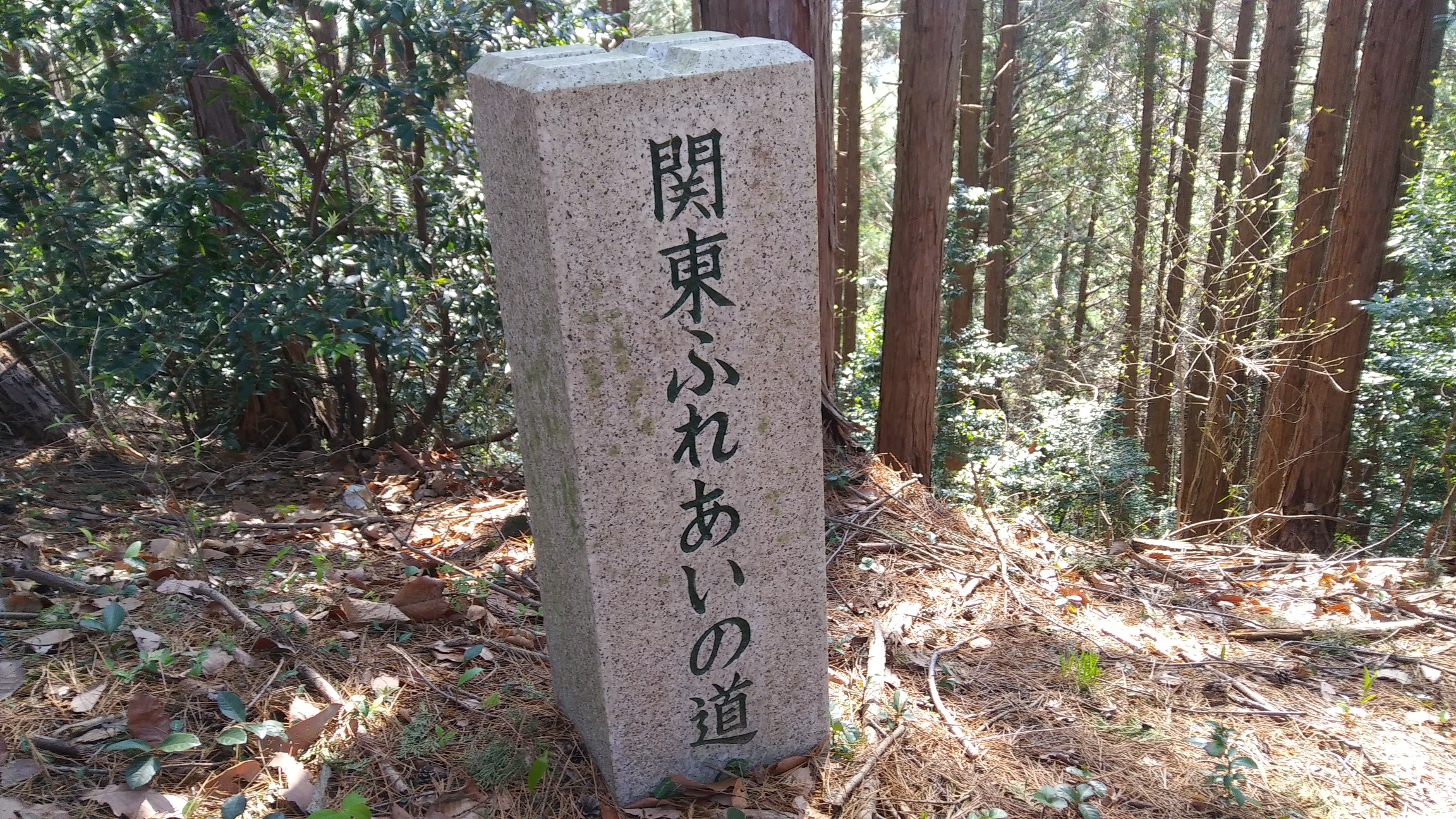 山なみのみち 名草巨石群駐車場 藤坂山 馬打山 往復 あき250さんの両崖山 仙人ヶ岳 石尊山の活動データ Yamap ヤマップ