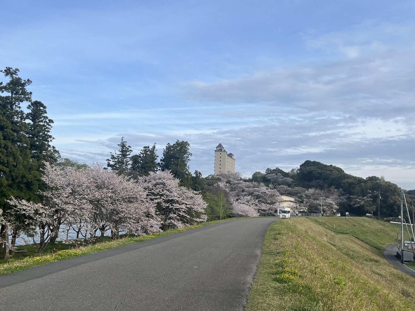 加茂山19 / mochiさんの加茂山・高峰ノ森の活動データ YAMAP / ヤマップ
