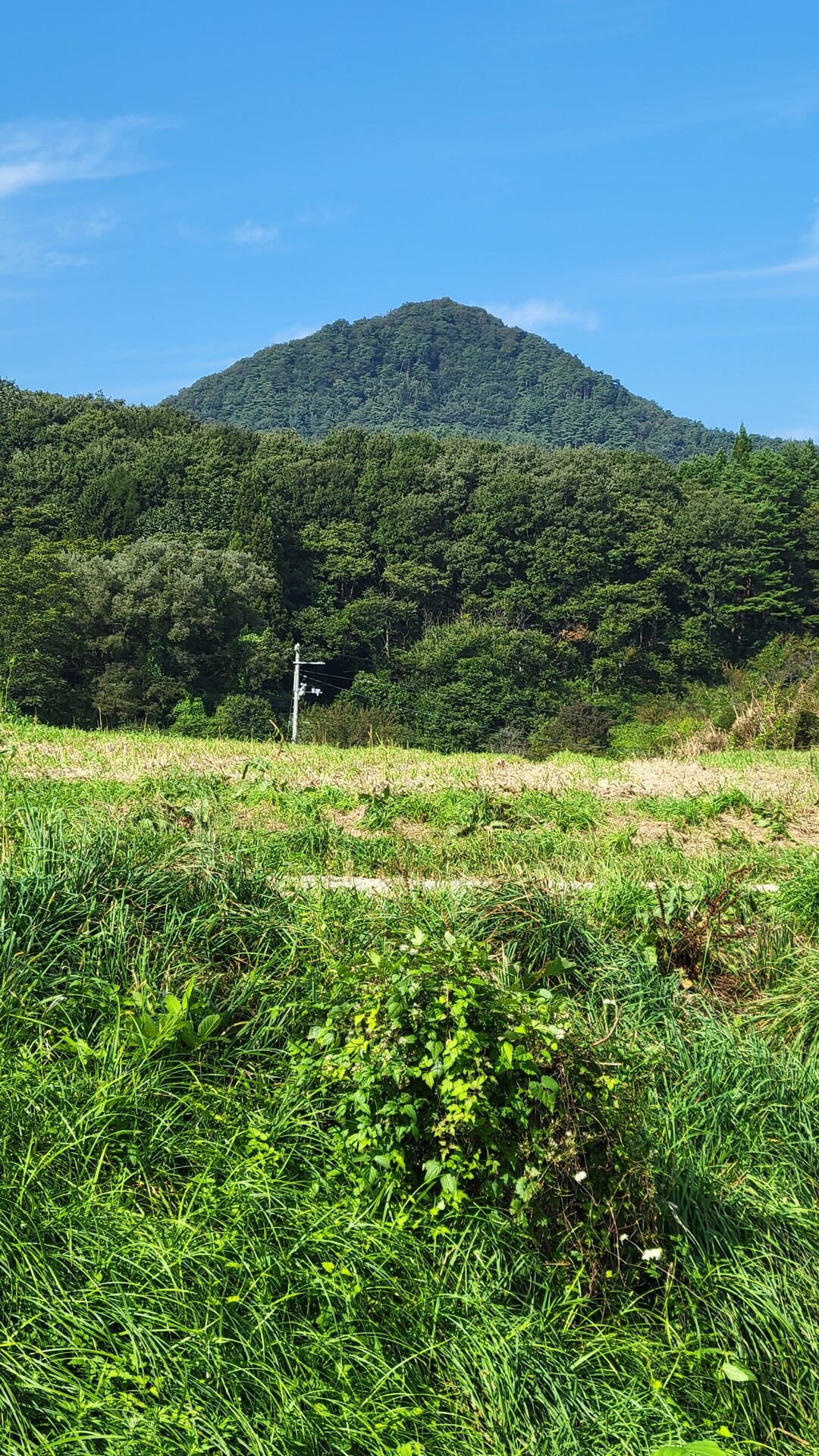 石ヶ森(夏山リーダー講習) / とっくぅ～さんの石ヶ森の活動日記 | YAMAP / ヤマップ