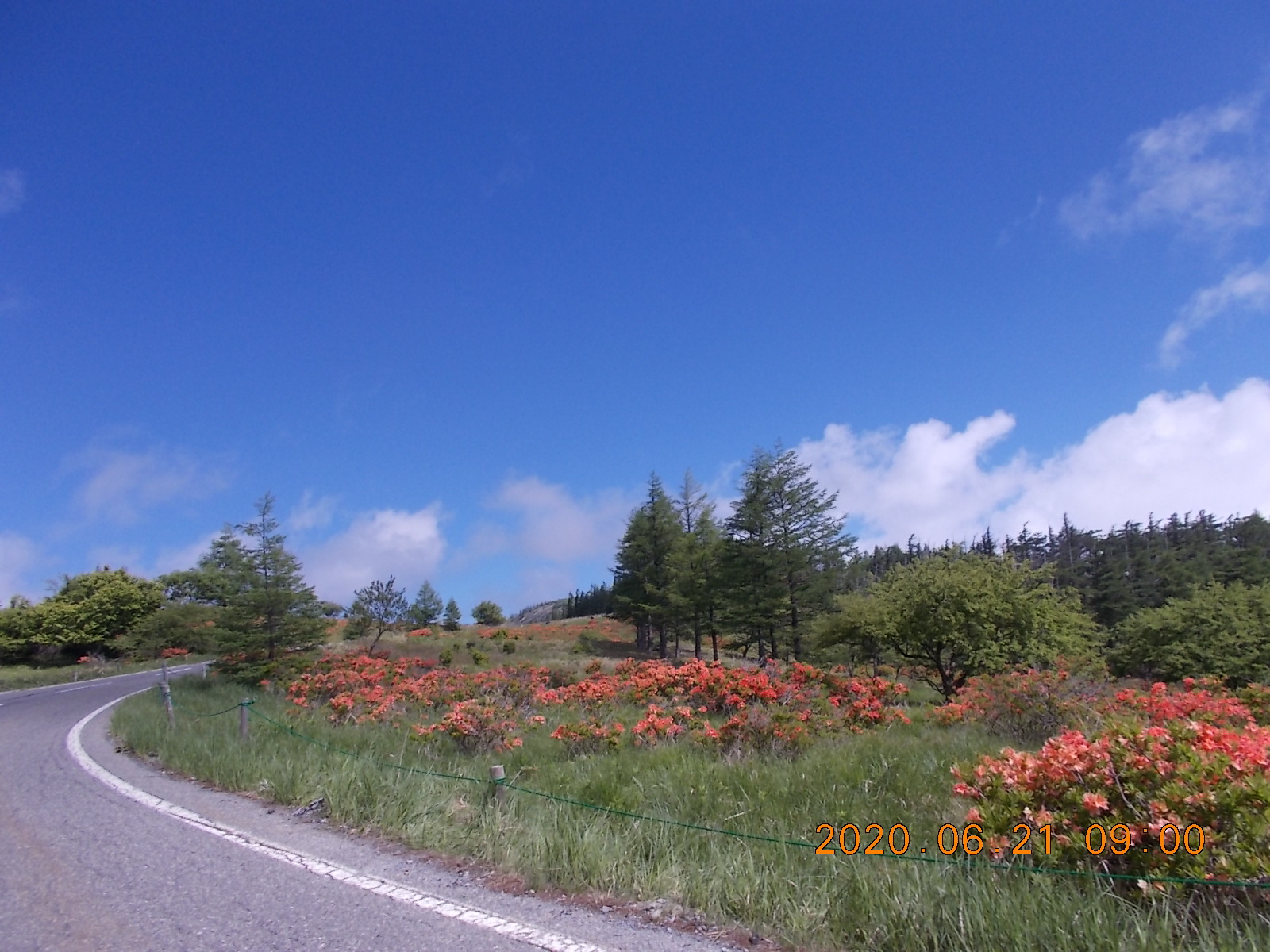 美ヶ原の素晴らしい眺め 花いっぱいの 思い出の丘 たかさんの美ヶ原の活動データ Yamap ヤマップ