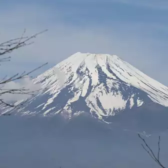 ▲位牌岳 1458m
沢沿いを歩き続け、焦らされ続けてきたあとの、富士山ドーン‼️🗻✨
位牌岳山頂からの富士山、見事です✨