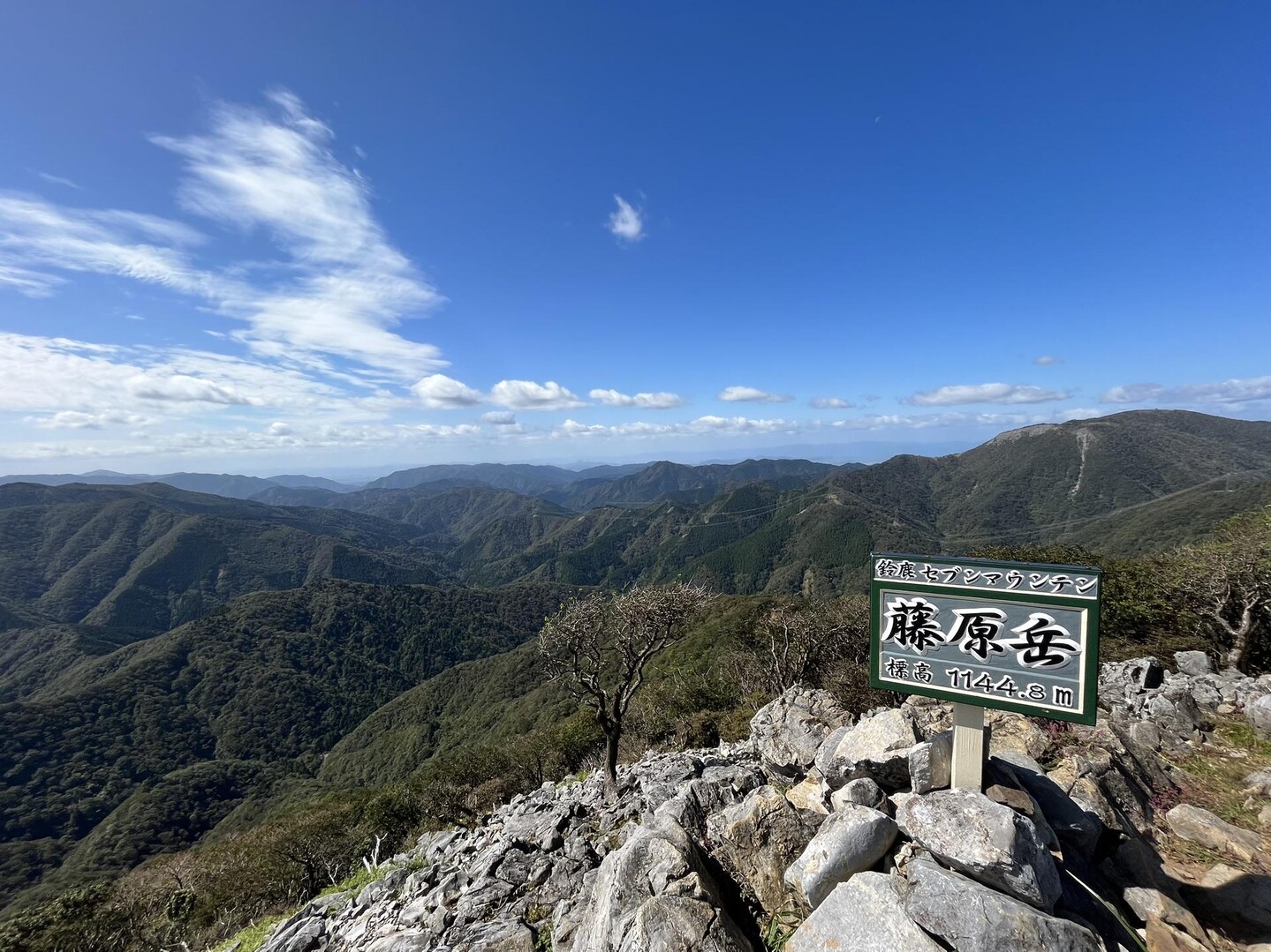 藤原岳 / むーちんさんの藤原岳・御池岳の活動データ YAMAP / ヤマップ