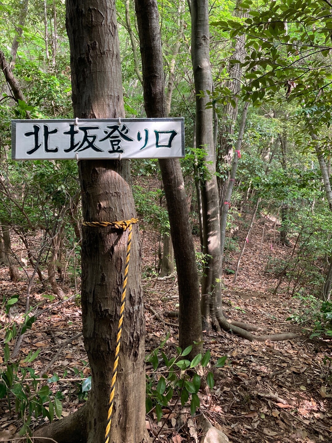 久松山 北坂 長田神社ルート 天球丸 Mtさんの鳥取市の活動データ Yamap ヤマップ