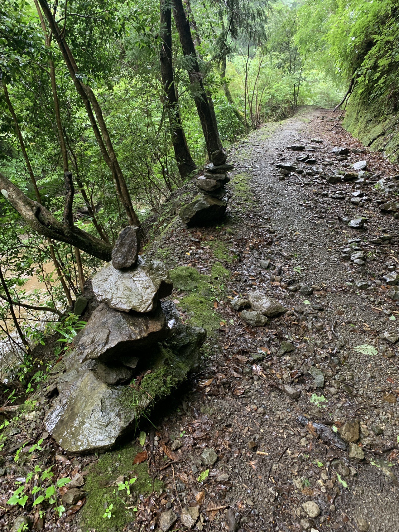 梅雨だけど雨乞い山に登ったよー 石射太郎 高宕観音 高宕山 高宕大滝 大江戸温泉物語 君津の森 Otouさんの高宕山 寂光山 大塚山の活動日記 Yamap ヤマップ