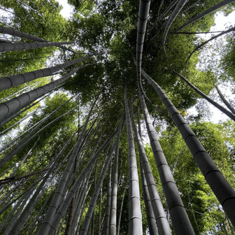 千葉山・白岩寺山 帰りは周回せず、往復を選択して、分岐の度に来た道と違う道を歩きました。
ピークはことごとく外すけど楽ちんなコースに。
帰りとしてラッキー♪