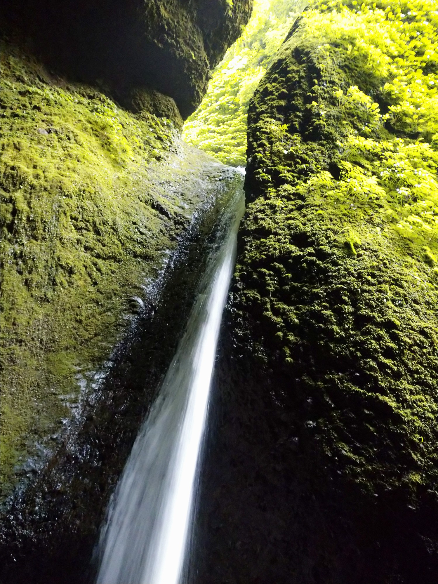 扇ノ山 06 シワガラの滝 ベッキーさんの扇ノ山の活動データ Yamap ヤマップ