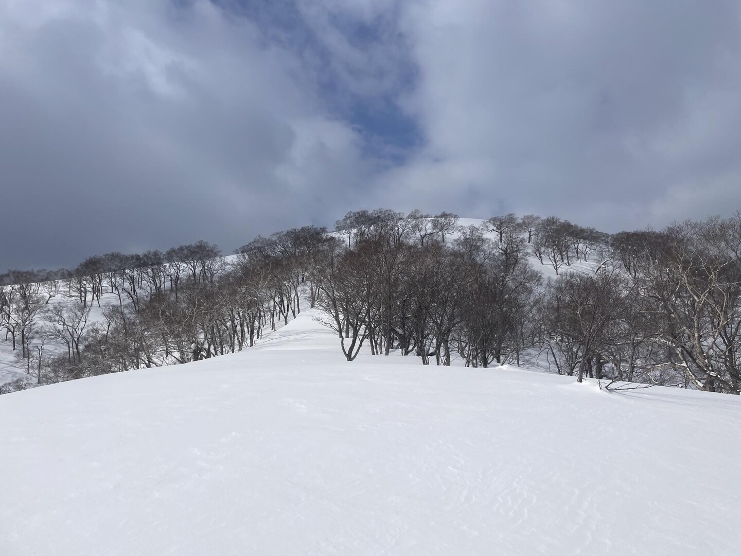 別狩岳 / けんちゃんさんの別狩岳の活動データ YAMAP / ヤマップ