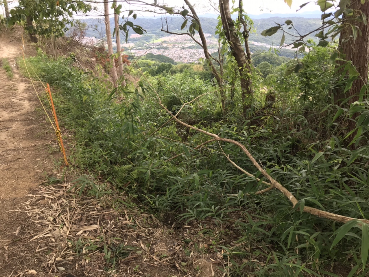 生駒山・神津嶽・大原山 古道の入口。（以前、こいわいさんが突入しました）