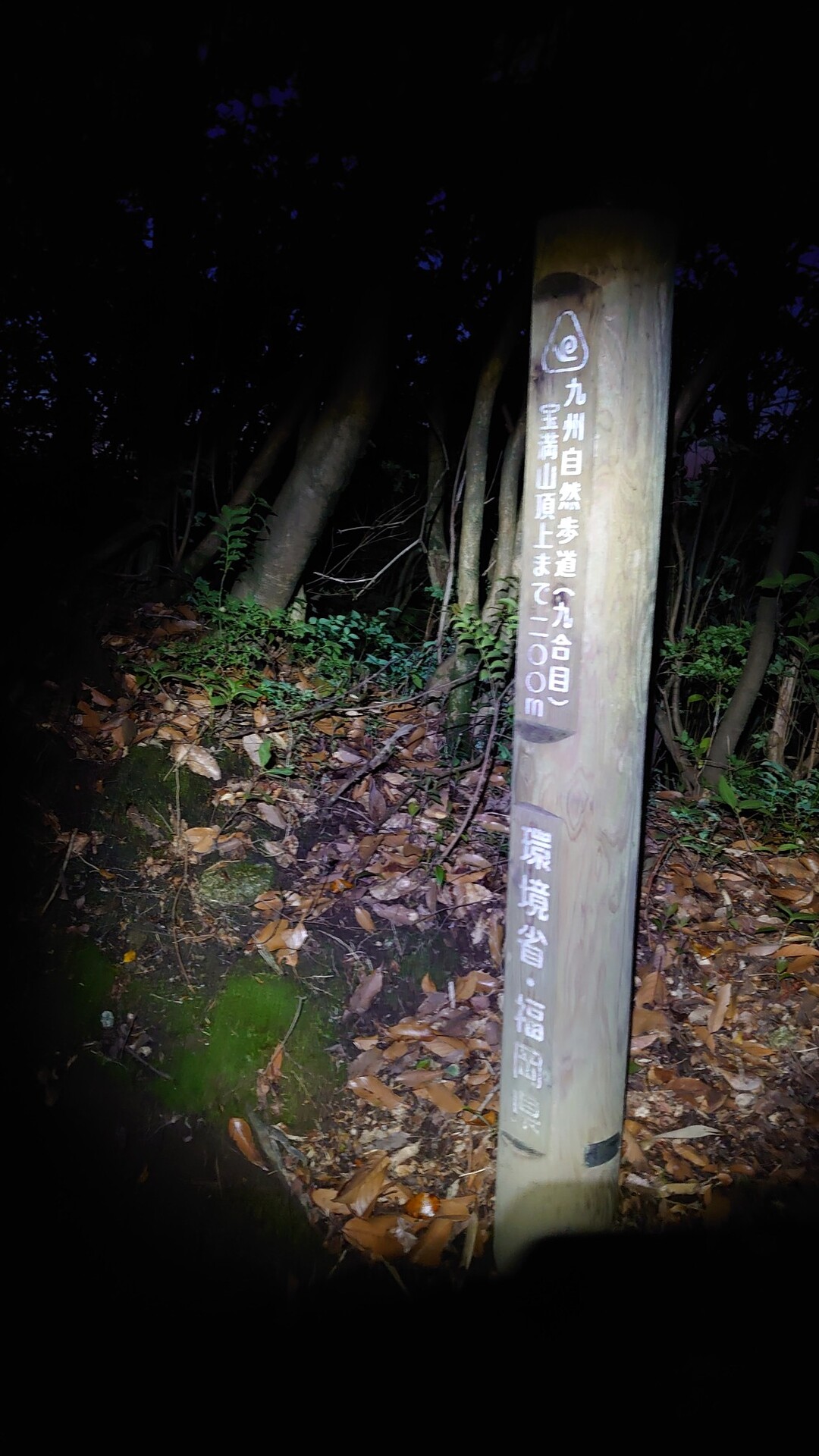 コロナの夜明けを願って 宝満山 愛嶽山 中村主水さんの宝満山 三郡山 若杉山の活動日記 Yamap ヤマップ