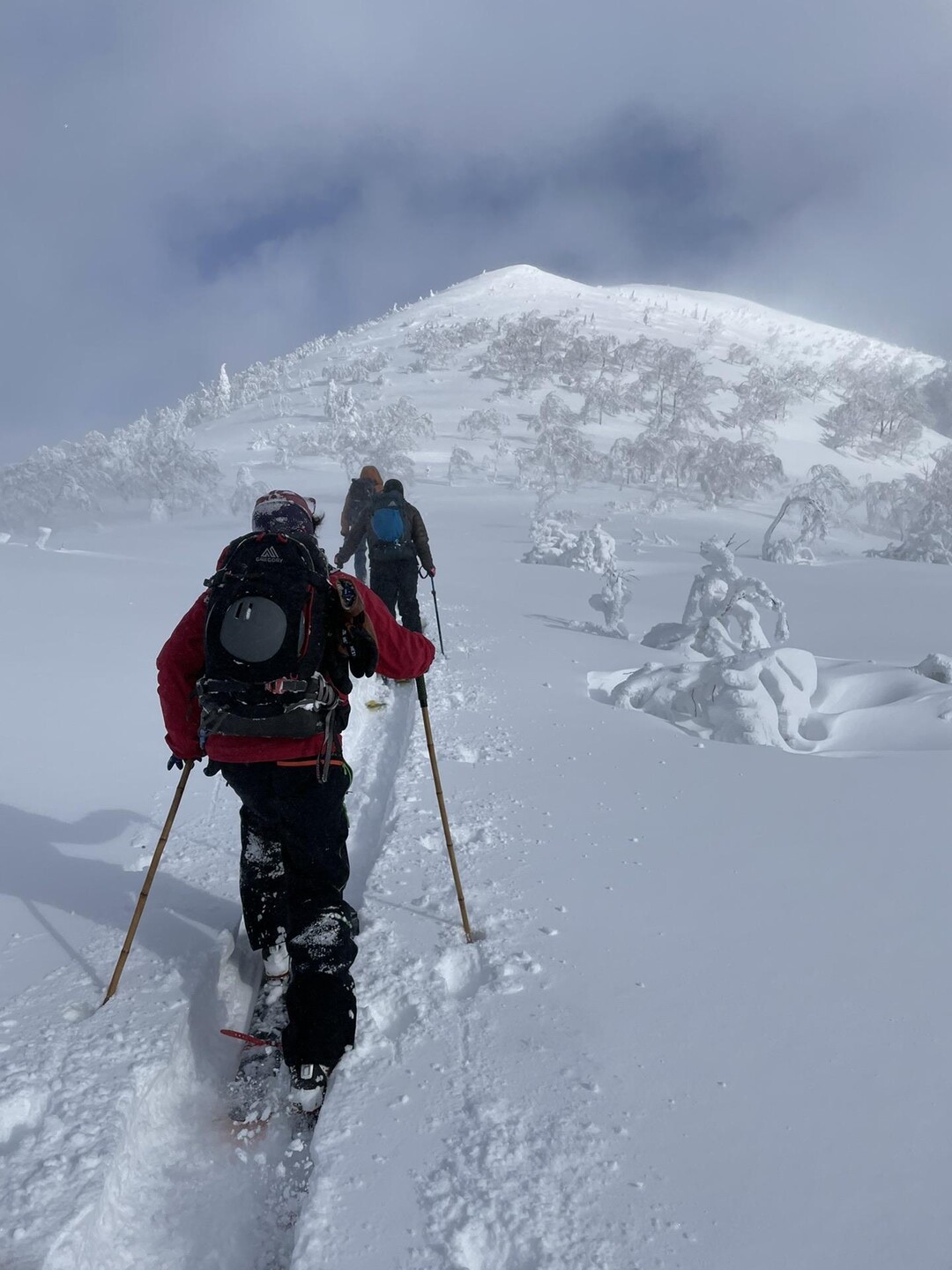 チトカニウシ山 / しょーんさんのチトカニウシ山の活動データ YAMAP / ヤマップ