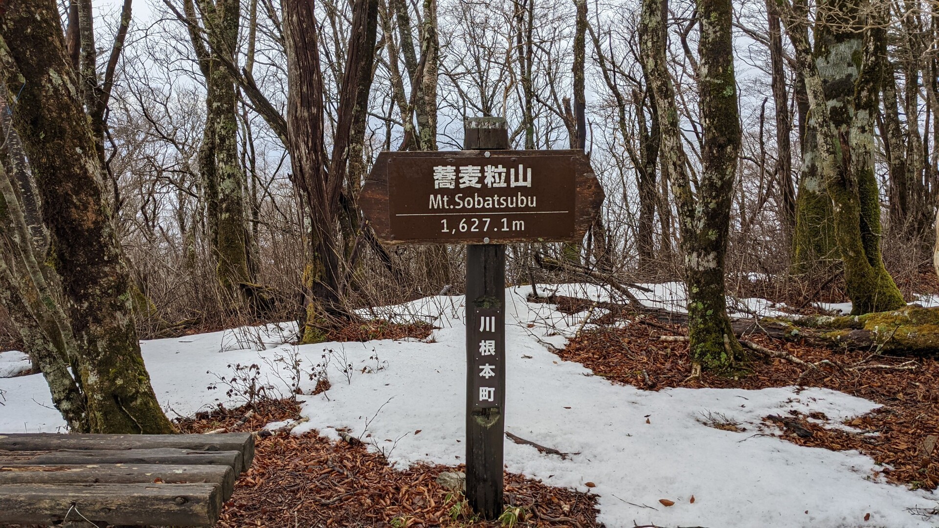 雨の大札山 山犬段 蕎麦粒山 Atsushiさんの大札山 三星山 白羽山の活動日記 Yamap ヤマップ