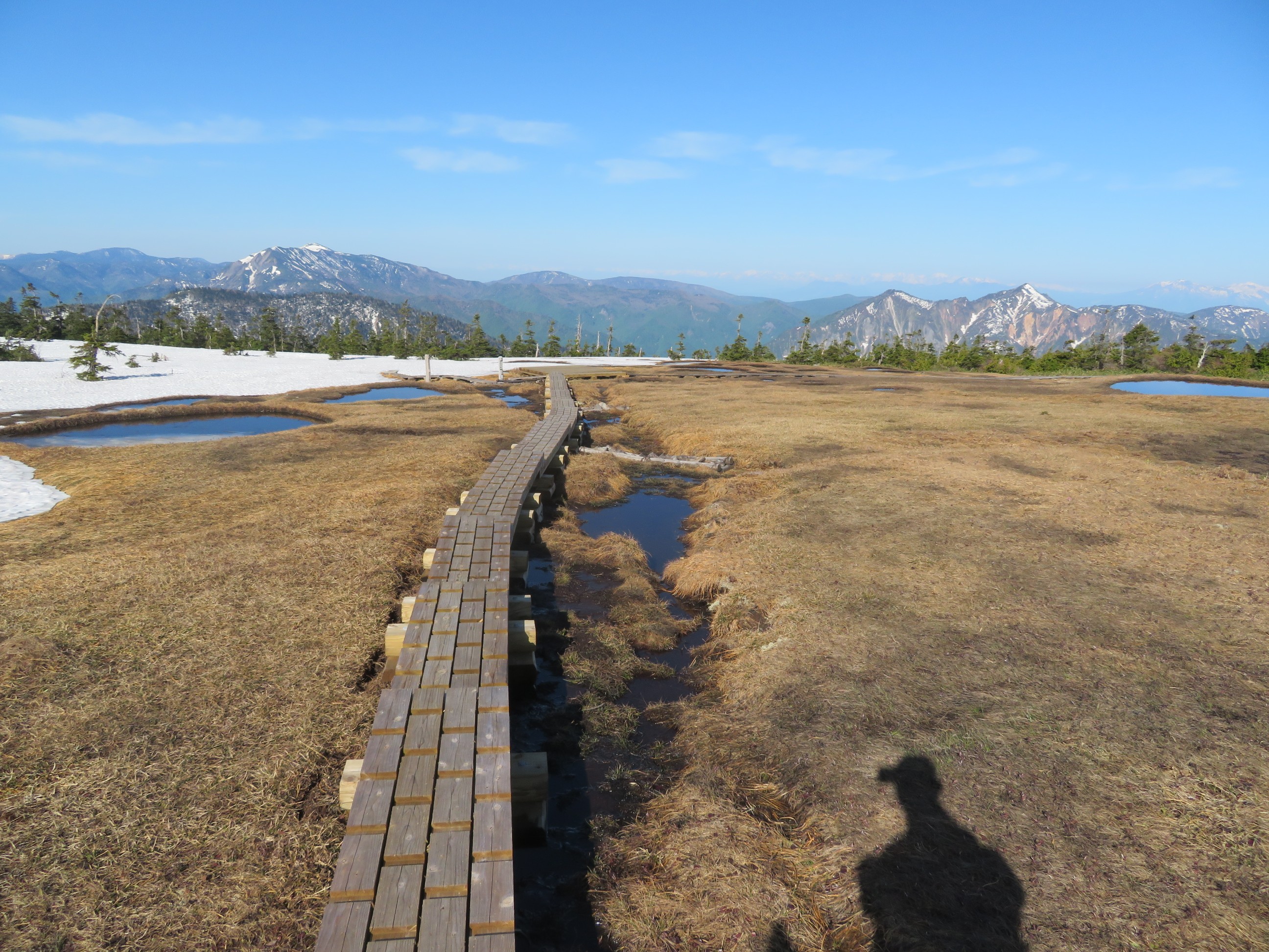 小赤沢 苗場山 とっぽさんの苗場山 赤倉山 佐武流山の活動データ Yamap ヤマップ