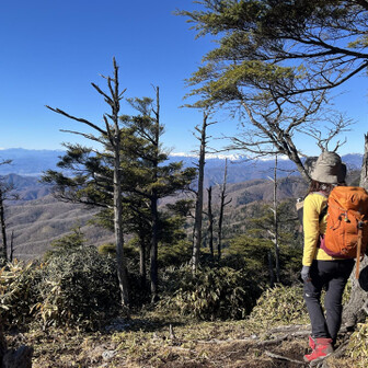 あれは谷川岳かな？🏔️美しすぎる。