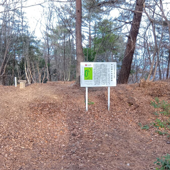 ⑧展望台から一旦下山し掛ける、恒例の無駄足を踏みつつYAMAPのお陰で早々に「山頂ちゃうやん！」と軌道修正し、改めて山頂踏破👣
中山砦の本丸？(語彙力)として武田氏滅亡後、徳川vs北条で徳川方に着いた武川衆の拠点でもあったらしい、て毎回此処登るのダルくね？(軟弱者)