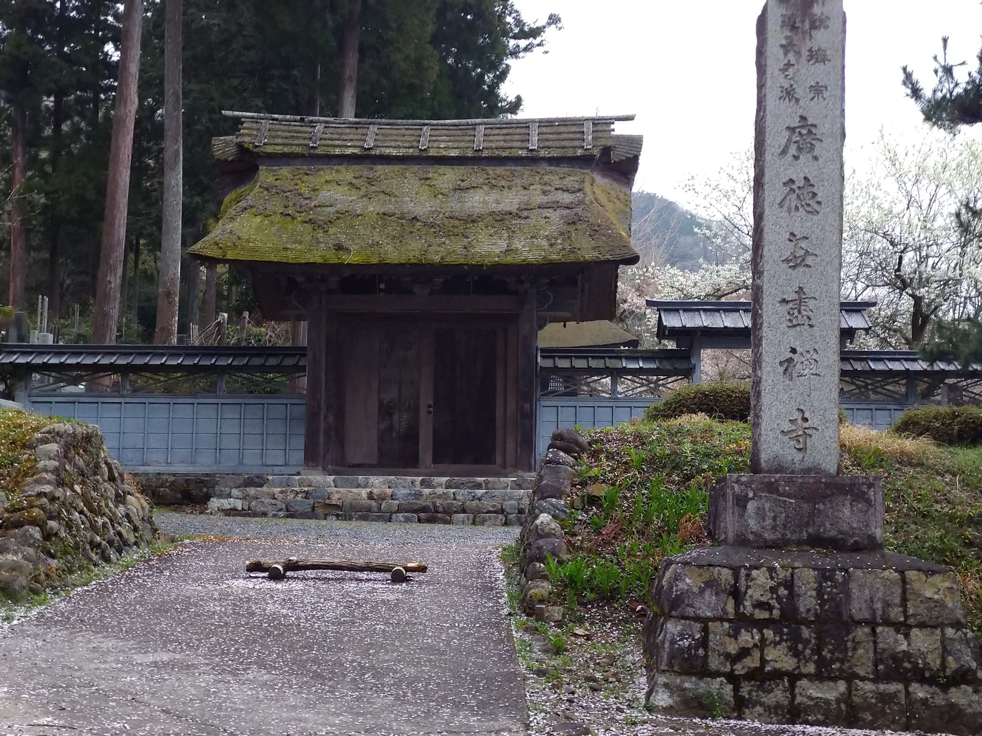 ハセツネ30kコース下見 湯の川さんのハセツネcup 日本山岳耐久レース 71 5kmコース の活動データ Yamap ヤマップ