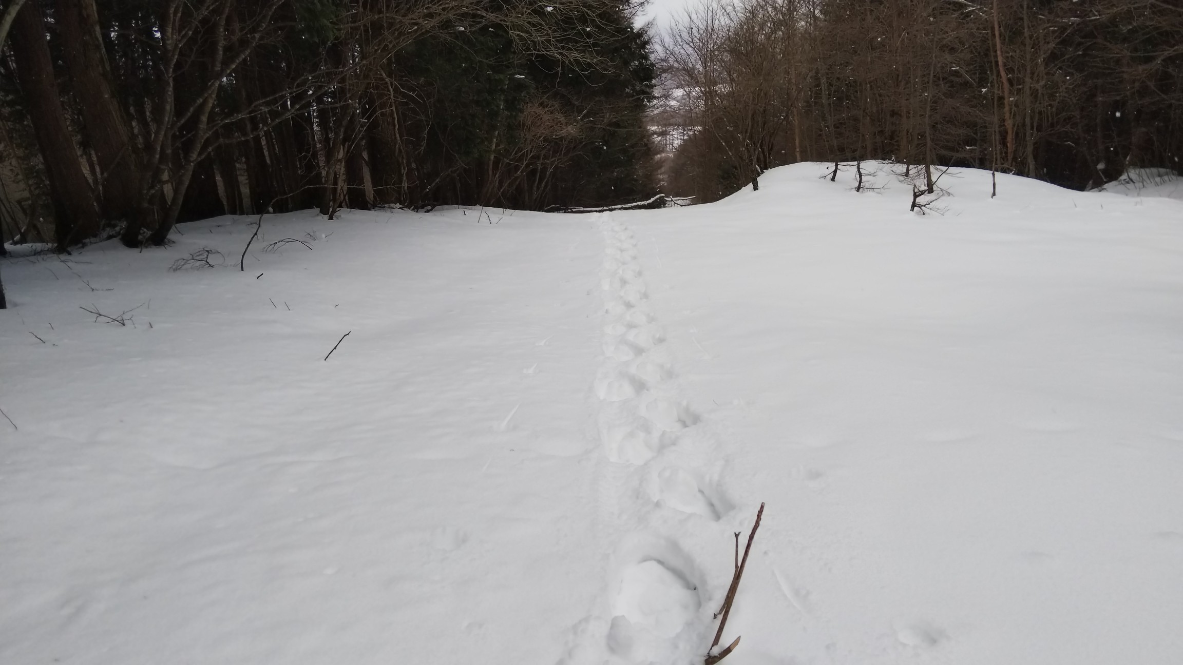 私のワカン跡～