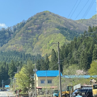 パーシャンミィ