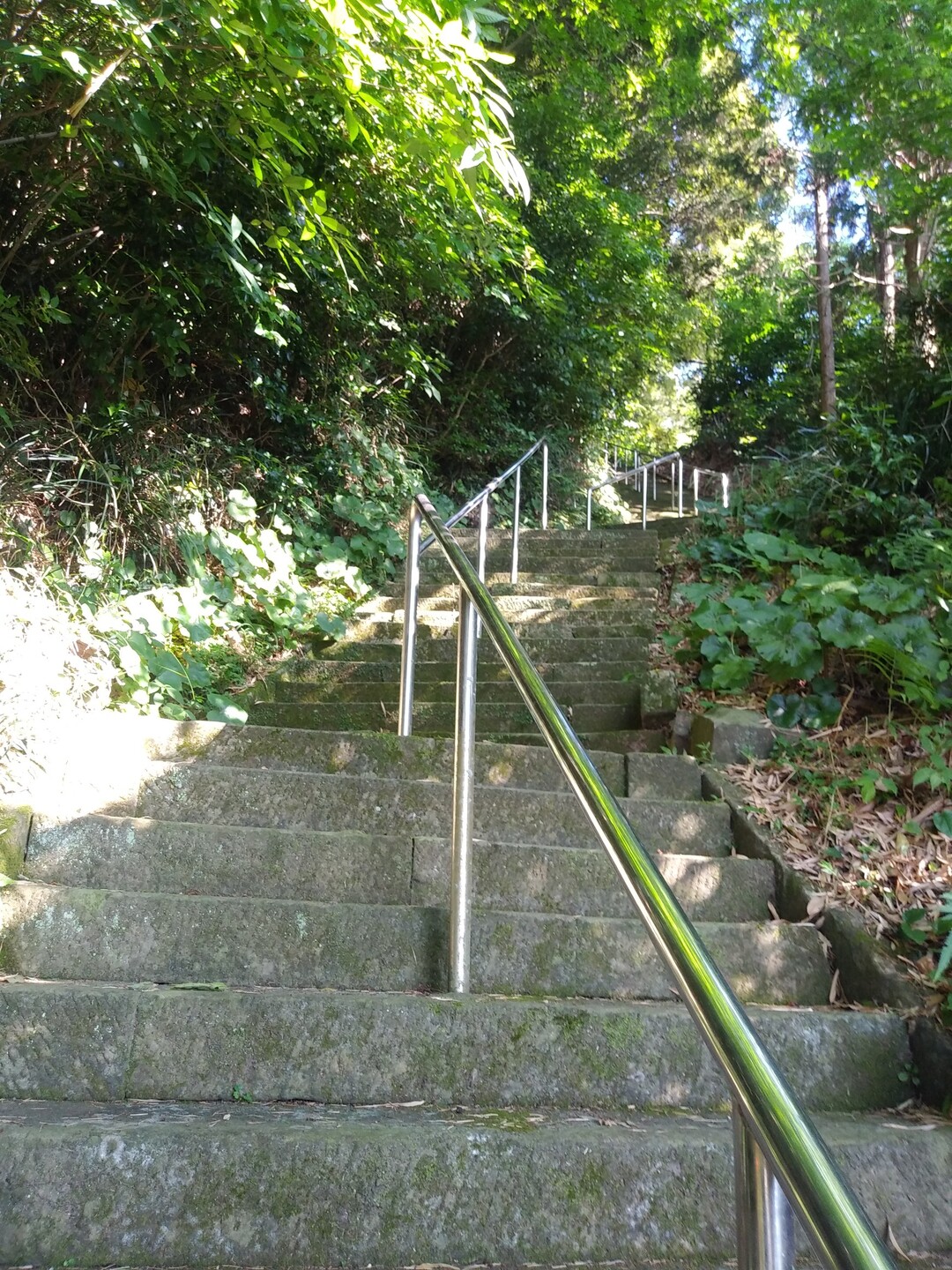 金比羅山 洒落た計らい 伊万里市の写真5枚目 うっ けっこう長い階段だ Yamap ヤマップ