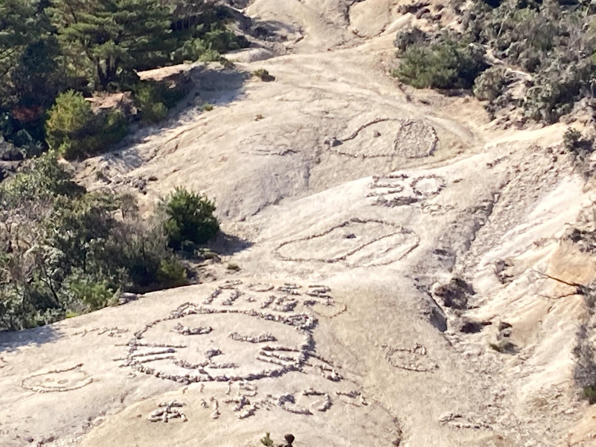 釈迦ヶ岳 猫の上に犬‼️対抗したわけではありません！