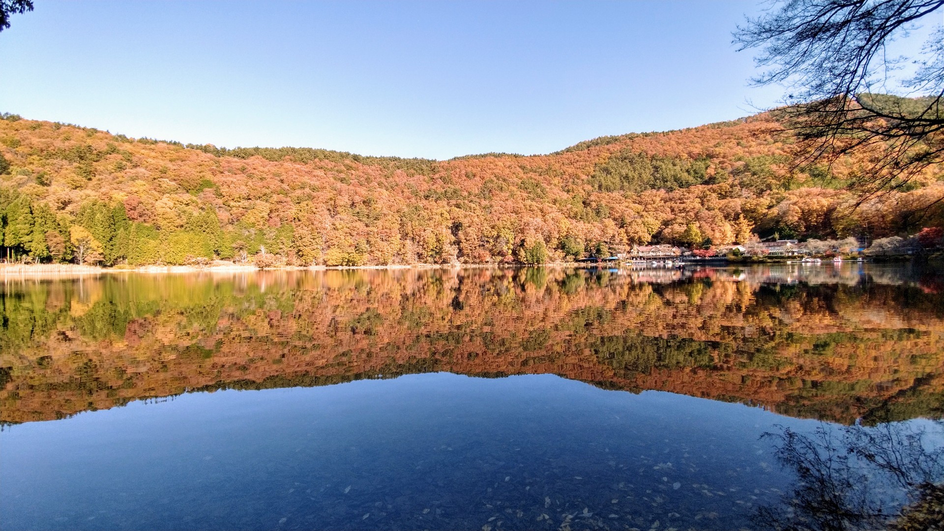 観光 四尾連湖の紅葉に 痺れる まー坊さんの蛾ヶ岳 大平山 釈迦ヶ岳の活動データ Yamap ヤマップ