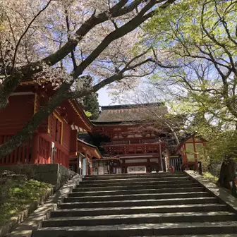 下山！談山神社まで戻ってきました
桜と新緑、今の季節だけの取り合わせ